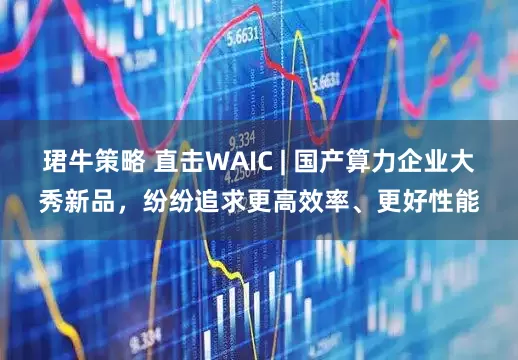 珺牛策略 直击WAIC | 国产算力企业大秀新品，纷纷追求更高效率、更好性能