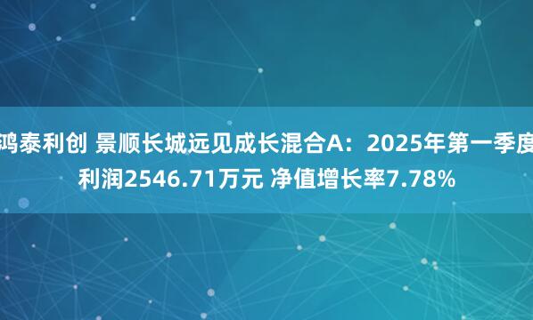鸿泰利创 景顺长城远见成长混合A：2025年第一季度利润2546.71万元 净值增长率7.78%
